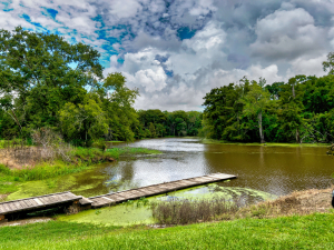 A dock sitting on top of a body of water surrounded by lush greenery