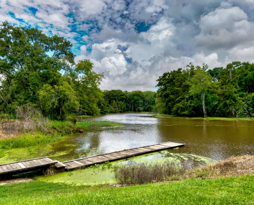 A dock sitting on top of a body of water surrounded by lush greenery